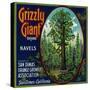 Grizzly Giant Orange Label - San Dimas, CA-Lantern Press-Stretched Canvas