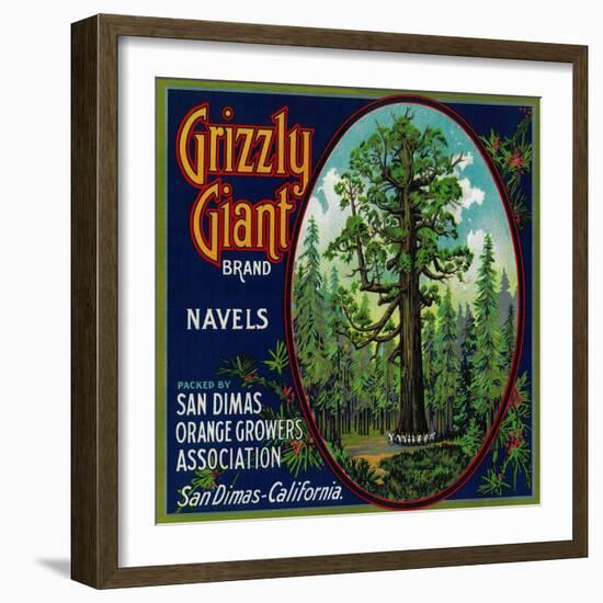 Grizzly Giant Orange Label - San Dimas, CA-Lantern Press-Framed Art Print