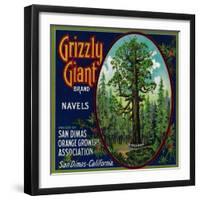 Grizzly Giant Orange Label - San Dimas, CA-Lantern Press-Framed Art Print
