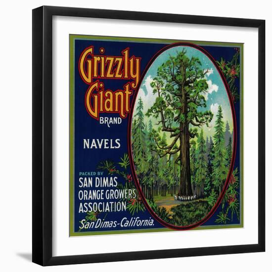 Grizzly Giant Orange Label - San Dimas, CA-Lantern Press-Framed Art Print