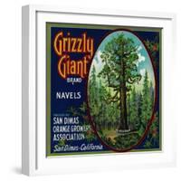 Grizzly Giant Orange Label - San Dimas, CA-Lantern Press-Framed Art Print