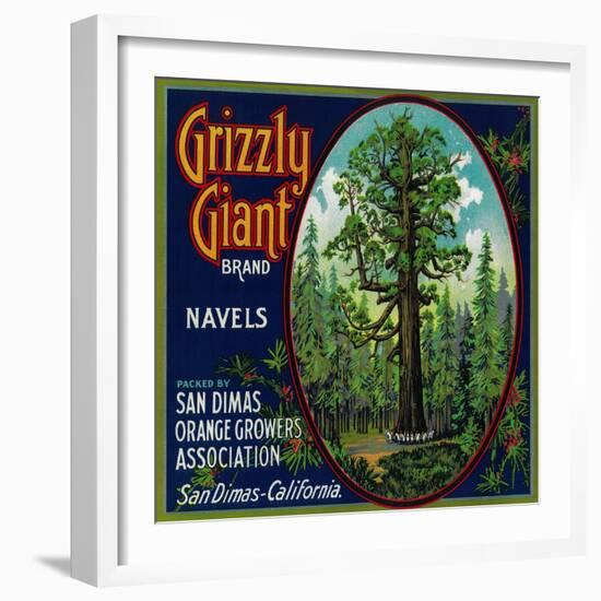 Grizzly Giant Orange Label - San Dimas, CA-Lantern Press-Framed Art Print