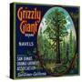 Grizzly Giant Orange Label - San Dimas, CA-Lantern Press-Stretched Canvas