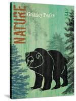 Grizzly Peaks-Bee Sturgis-Stretched Canvas