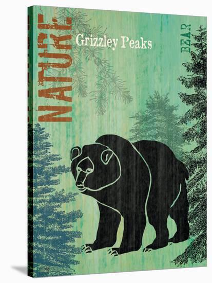 Grizzly Peaks-Bee Sturgis-Stretched Canvas