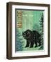 Grizzly Peaks-Bee Sturgis-Framed Art Print