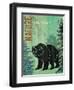 Grizzly Peaks-Bee Sturgis-Framed Art Print