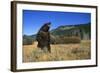 Grizzly Roaring in Field-DLILLC-Framed Photographic Print