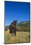 Grizzly Roaring in Mountain Meadow-DLILLC-Mounted Photographic Print