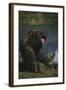 Grizzly Roaring-DLILLC-Framed Photographic Print