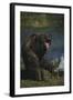Grizzly Roaring-DLILLC-Framed Photographic Print