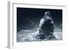 Grizzly Splash-Gordon Semmens-Framed Photographic Print