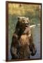 Grizzly Standing in Stream-DLILLC-Framed Photographic Print