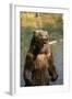 Grizzly Standing in Stream-DLILLC-Framed Photographic Print