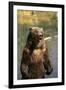 Grizzly Standing in Stream-DLILLC-Framed Photographic Print