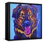 Grizzly-Dawgart-Framed Stretched Canvas