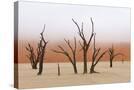 Stretched Canvas