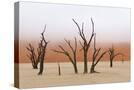 Stretched Canvas