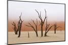 Wood Mount