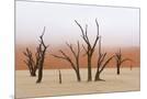 Wood Mount