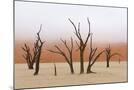 Wood Mount