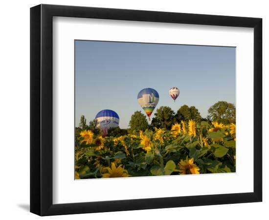 Premium Photographic Print, , large