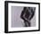 Groin Pain-Cristina-Framed Photographic Print