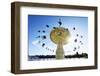 Grona Lund, an Amusement Park. it Is Located on the Djurgarden Island Since 1883. Stockholm, Sweden-Mauricio Abreu-Framed Photographic Print
