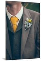 Groom at Wedding-Clive Nolan-Mounted Photographic Print