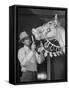 Groom Cleaning Horse's Teeth During Filming of the Movie "The Ziegfeld Follies"-John Florea-Framed Stretched Canvas