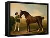 Groom Feeding a Bay Hunter in a Landscape-George Stubbs-Framed Stretched Canvas