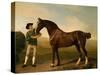 Groom Feeding a Bay Hunter in a Landscape-George Stubbs-Stretched Canvas