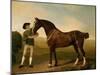 Groom Feeding a Bay Hunter in a Landscape-George Stubbs-Mounted Giclee Print
