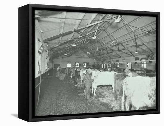 Grooming Cattle in a Cowshed, Claybury Hospital, Woodford Bridge, London, 1937-null-Framed Stretched Canvas
