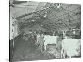 Grooming Cattle in a Cowshed, Claybury Hospital, Woodford Bridge, London, 1937-null-Stretched Canvas
