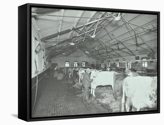 Grooming Cattle in a Cowshed, Claybury Hospital, Woodford Bridge, London, 1937-null-Framed Stretched Canvas