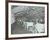 Grooming Cattle in a Cowshed, Claybury Hospital, Woodford Bridge, London, 1937-null-Framed Photographic Print