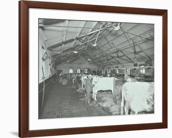 Grooming Cattle in a Cowshed, Claybury Hospital, Woodford Bridge, London, 1937-null-Framed Photographic Print