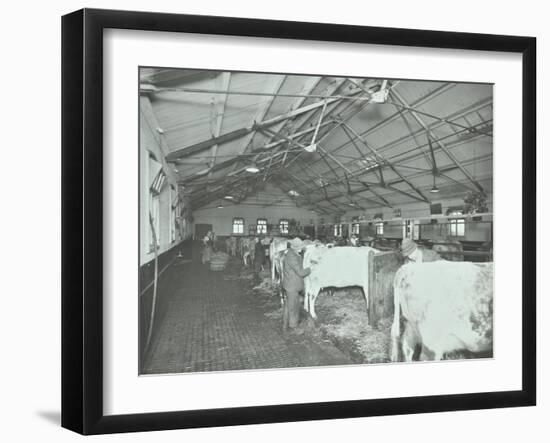 Grooming Cattle in a Cowshed, Claybury Hospital, Woodford Bridge, London, 1937-null-Framed Premium Photographic Print