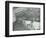 Grooming Cattle in a Cowshed, Claybury Hospital, Woodford Bridge, London, 1937-null-Framed Photographic Print