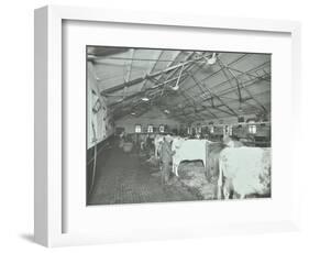 Grooming Cattle in a Cowshed, Claybury Hospital, Woodford Bridge, London, 1937-null-Framed Photographic Print