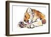 Grooming Cub, 2019,-Mark Adlington-Framed Giclee Print