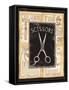 Grooming Scissors-Charlene Audrey-Framed Stretched Canvas