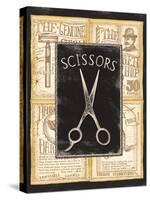 Grooming Scissors-Charlene Audrey-Stretched Canvas