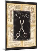 Grooming Scissors-Charlene Audrey-Mounted Art Print