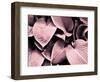 Groove-Design Fabrikken-Framed Photographic Print