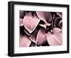 Groove-Design Fabrikken-Framed Photographic Print