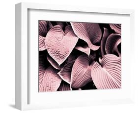 Groove-Design Fabrikken-Framed Photographic Print