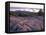 Grooves in the Granite on Summit of Cadillac Mountain, Acadia National Park, Maine, USA-Jerry & Marcy Monkman-Framed Stretched Canvas