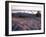 Grooves in the Granite on Summit of Cadillac Mountain, Acadia National Park, Maine, USA-Jerry & Marcy Monkman-Framed Premium Photographic Print